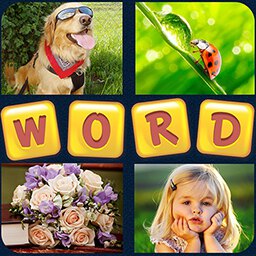 4 Pics 1 Word