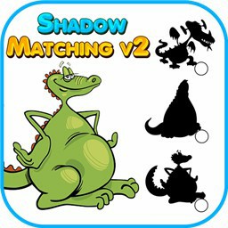 Shadow Matching V2